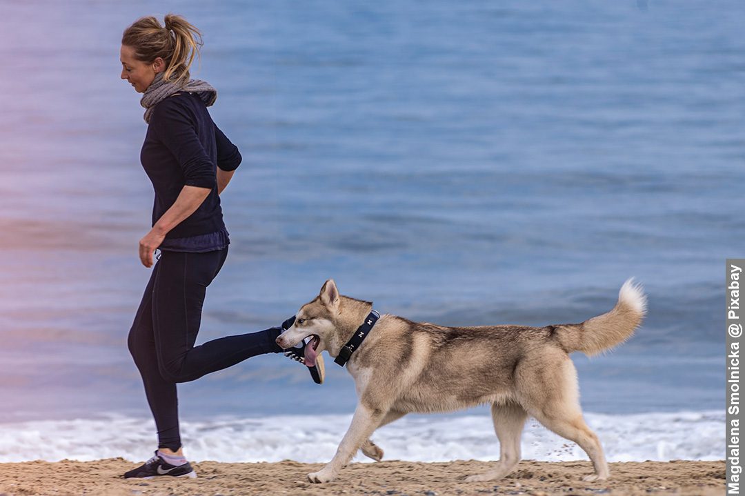 Woman running on beach with dog as a way of coping with challenges
