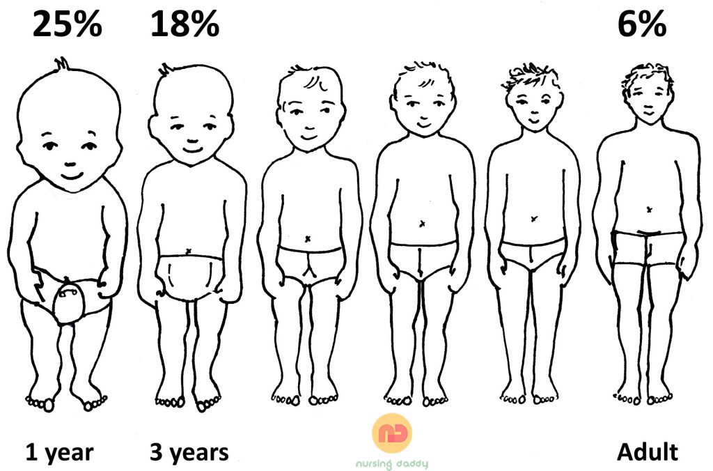 Growth and Proportional Changes in Body Segments with Age: Baby to Adult