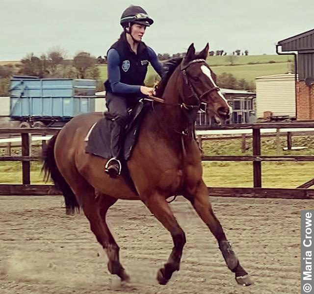 Equestrian Dreams and Desires Horse Training