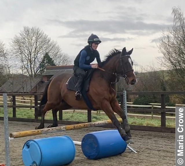 Lady Show Jumping with Equestrian Dreams and Desires