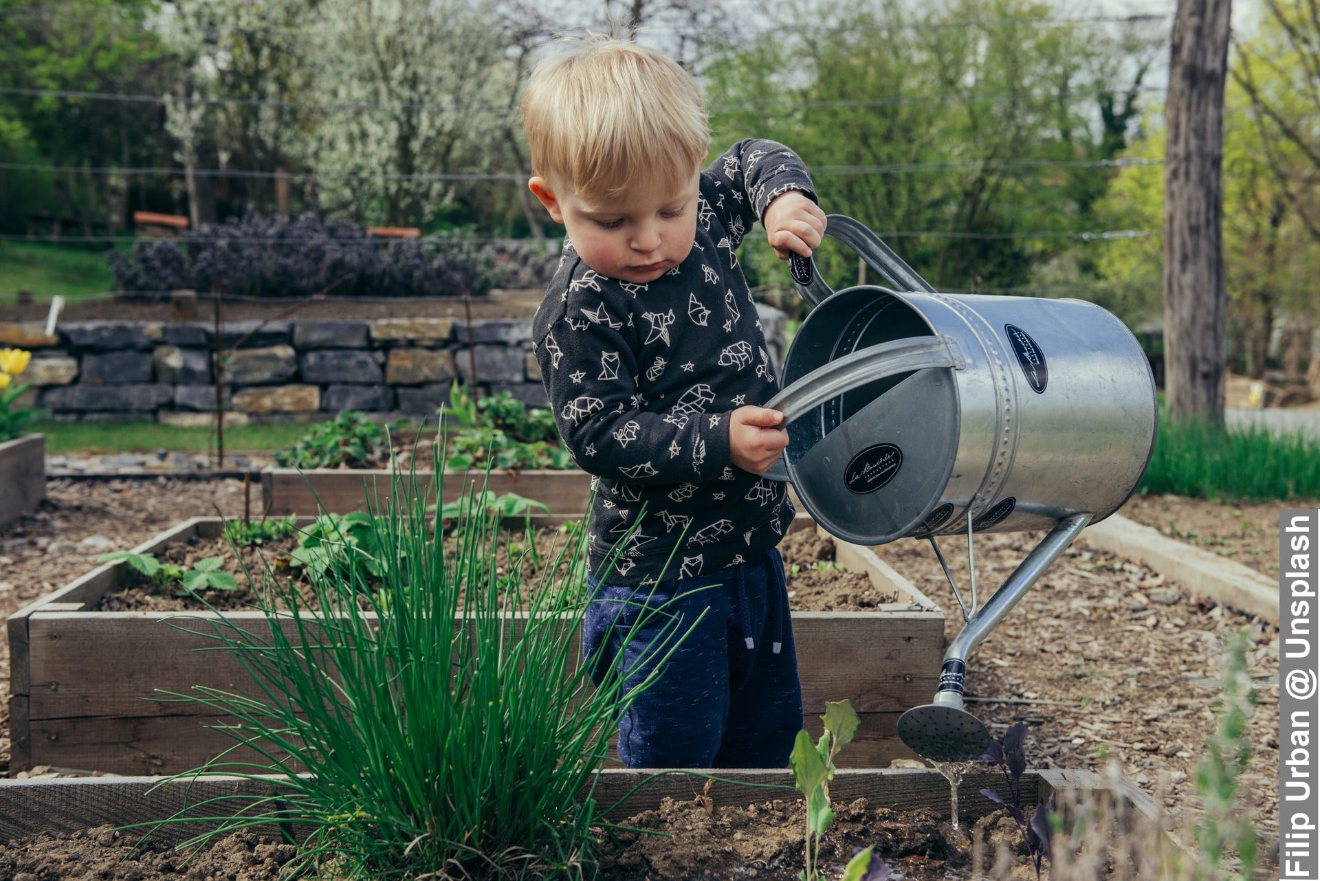 Little Boy Gardening Outdoors with a watering can during family activities