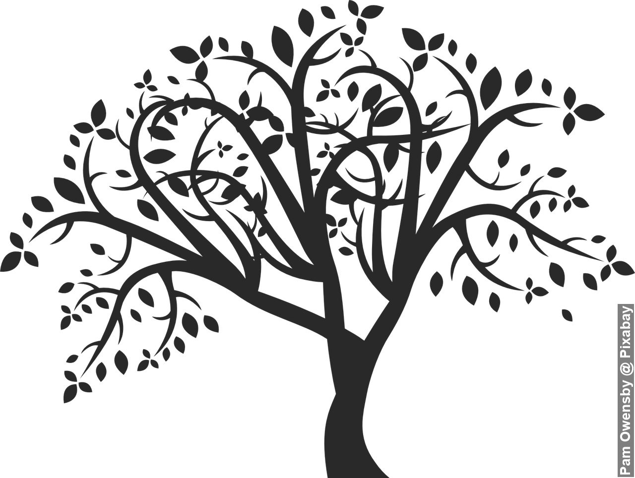 Family tree, nature, spring, summer with leaves outdoors