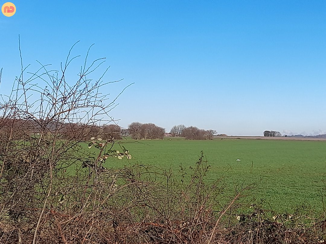 Image showing a picturesque green fields