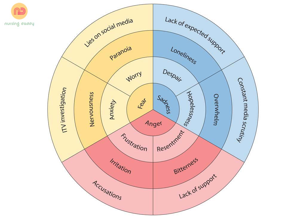 An Emotional Wheel diagram representing the range of emotions expressed by Philip Schofield during the interview. The wheel starts with primary emotions of sadness, fear, and anger at the center, branching out into more specific secondary and tertiary emotions, and finally leading to the contextual factors that evoke these emotions.