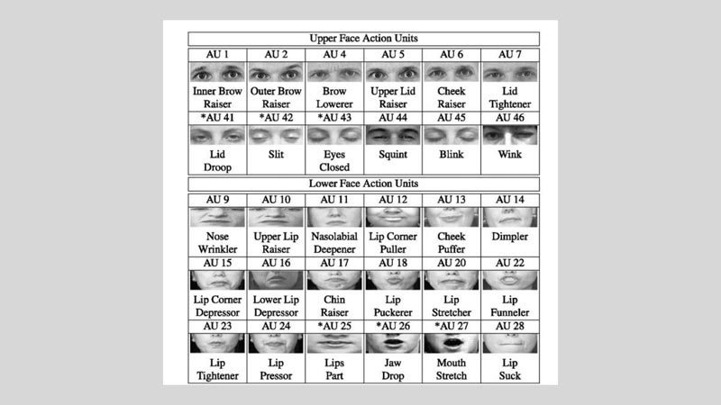 Diagram from Beh Mei Yin et al.'s 2017 research paper illustrating the Facial Action Coding System (FACS), used to categorise and understand facial muscle movements for expression analysis.