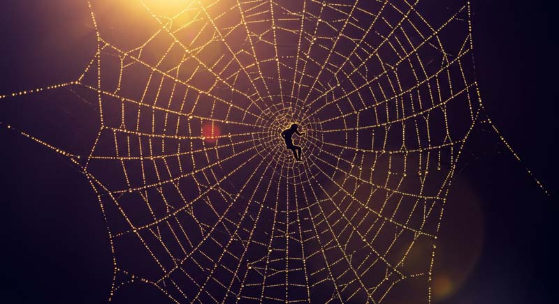 A glowing spider web made of golden threads stretches across a dark purple backdrop with a small silhouette curled at the centre, caught in the web they built. Harsh light creates dramatic shadows and highlights the tension of every strand, showing how quick choices can entangle us, and reminding us that you can't play a player.